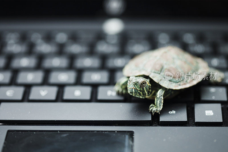 Tortoise and computer Concepts